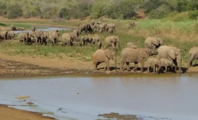 GAME RESERVES AND NATURE